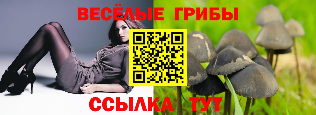 Псилоцибиновые грибы GOLDEN TEACHER  Галлюциногенные грибы мухоморы  Вход с VPN  Коркино 
